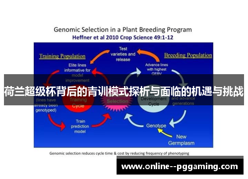 荷兰超级杯背后的青训模式探析与面临的机遇与挑战