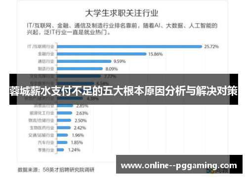 蓉城薪水支付不足的五大根本原因分析与解决对策