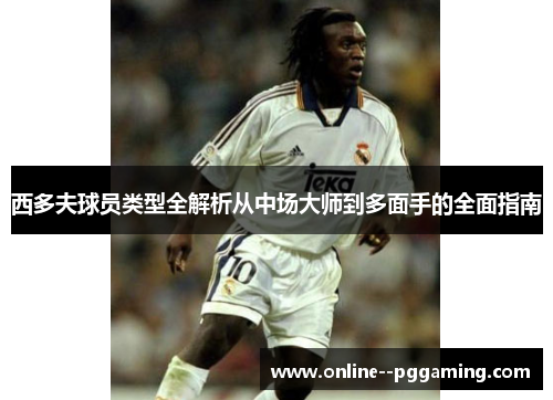 西多夫球员类型全解析从中场大师到多面手的全面指南 西多夫球员类型全解析从中场大师到多面手的全面指南