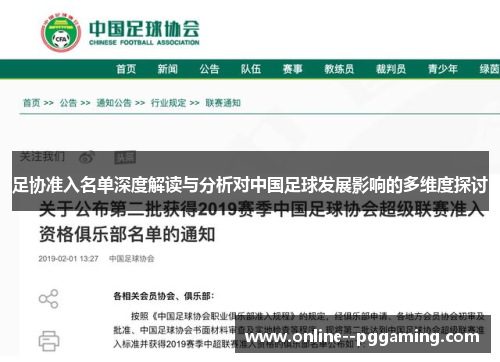 足协准入名单深度解读与分析对中国足球发展影响的多维度探讨 足协准入名单深度解读与分析对中国足球发展影响的多维度探讨