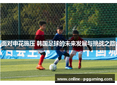 面对申花施压 韩国足球的未来发展与挑战之路