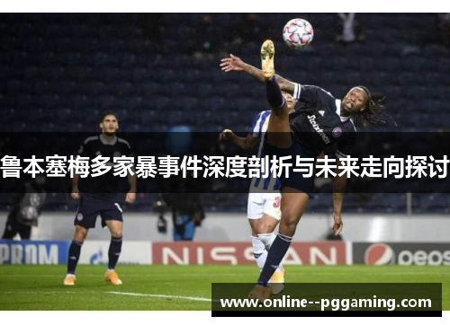 鲁本塞梅多家暴事件深度剖析与未来走向探讨